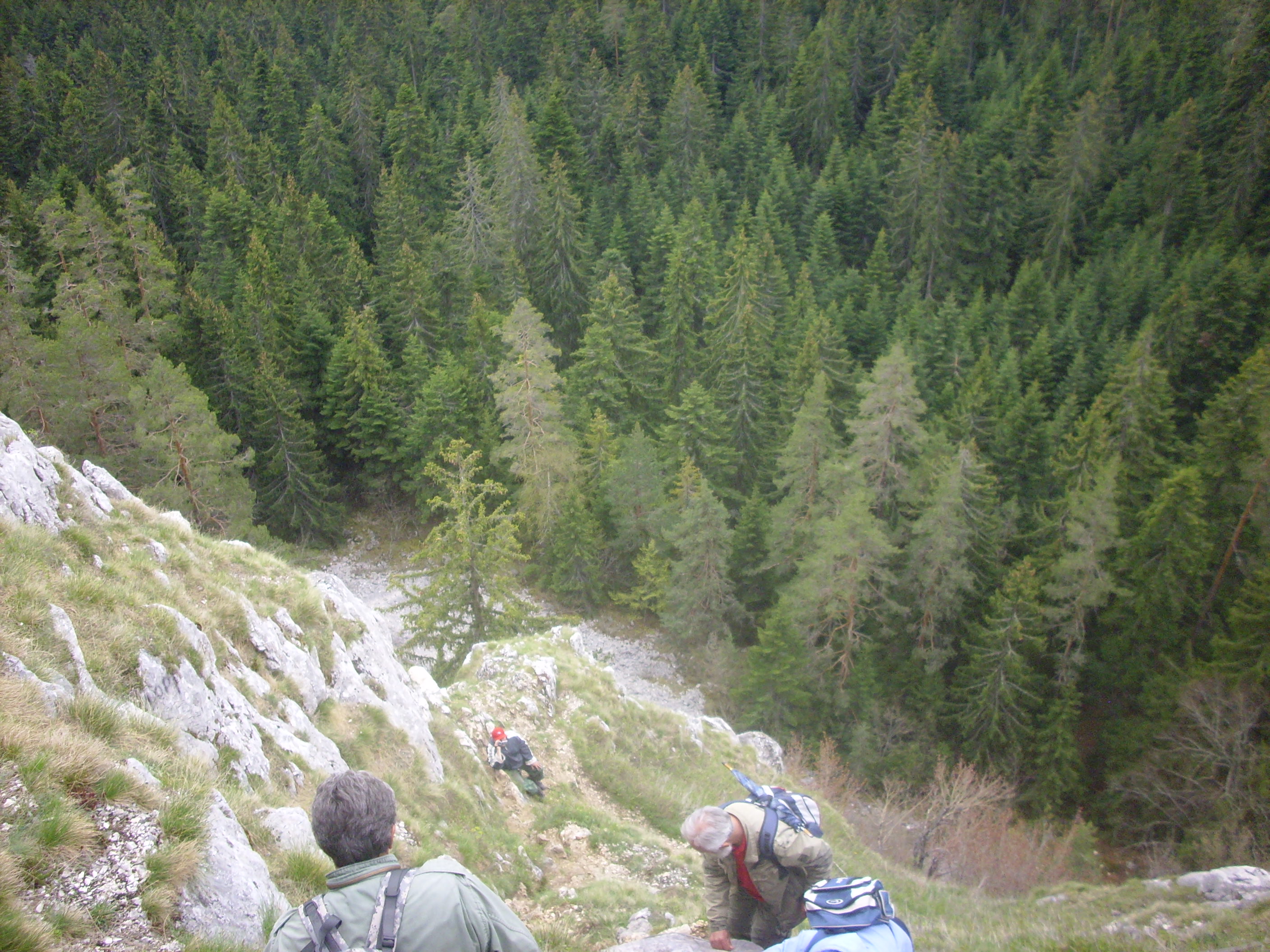 novakova pecina