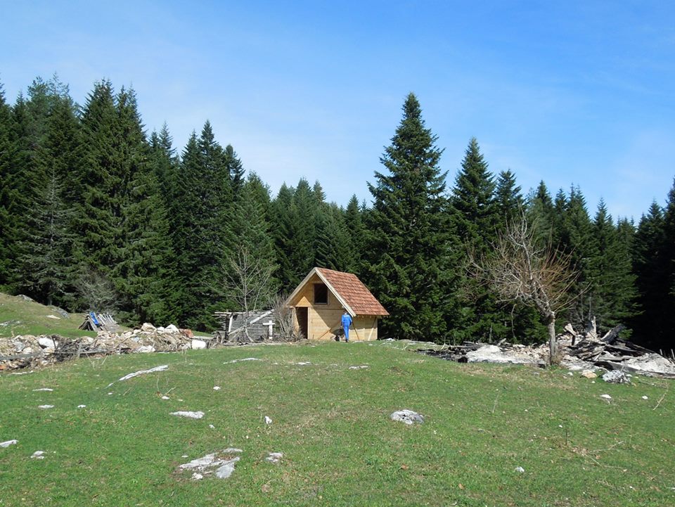 romanija