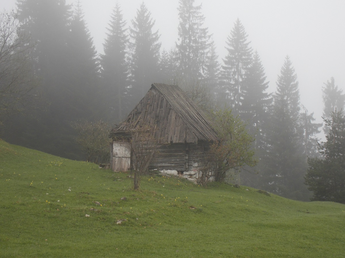 romanija